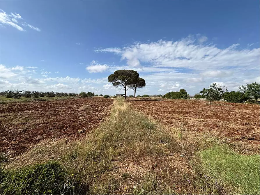 Immagine 8 di Rustico / casale in vendita  in via comunale ischera monticelli a Casarano