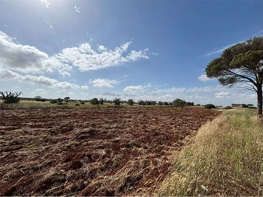 Immagine 9 di Rustico / casale in vendita  in via comunale ischera monticelli a Casarano