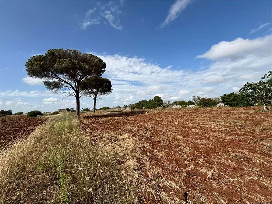 Immagine 10 di Rustico / casale in vendita  in via comunale ischera monticelli a Casarano