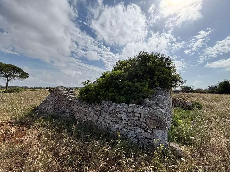Immagine 12 di Rustico / casale in vendita  in via comunale ischera monticelli a Casarano