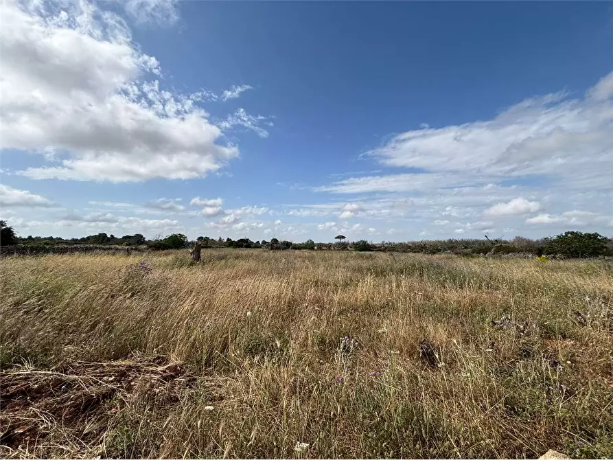 Immagine 14 di Rustico / casale in vendita  in via comunale ischera monticelli a Casarano