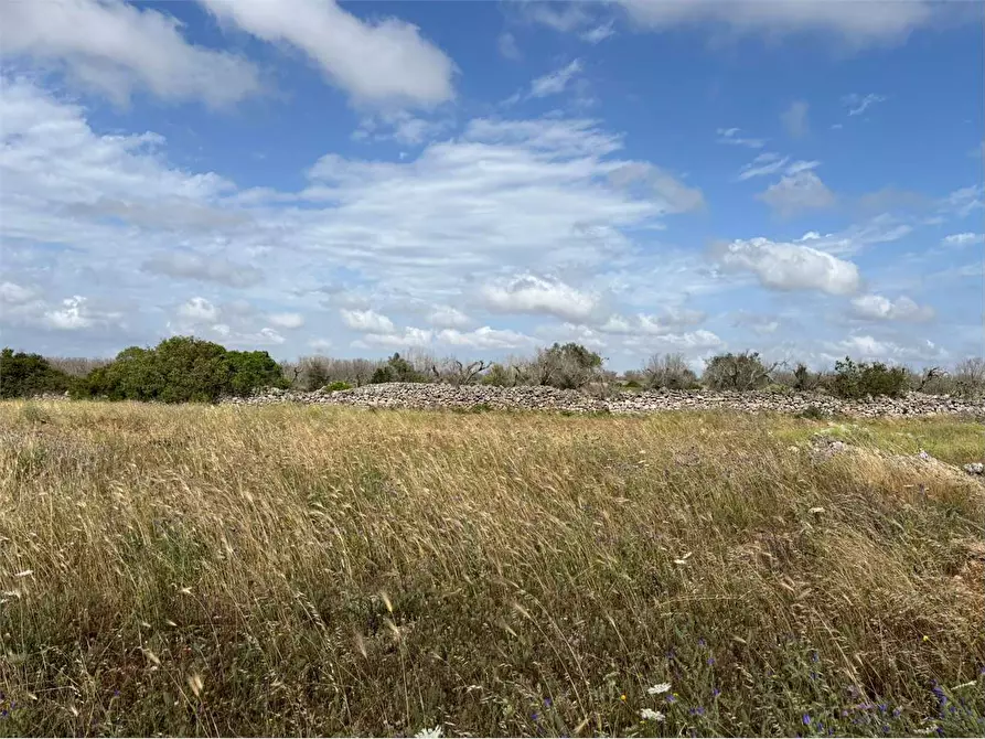 Immagine 15 di Rustico / casale in vendita  in via comunale ischera monticelli a Casarano