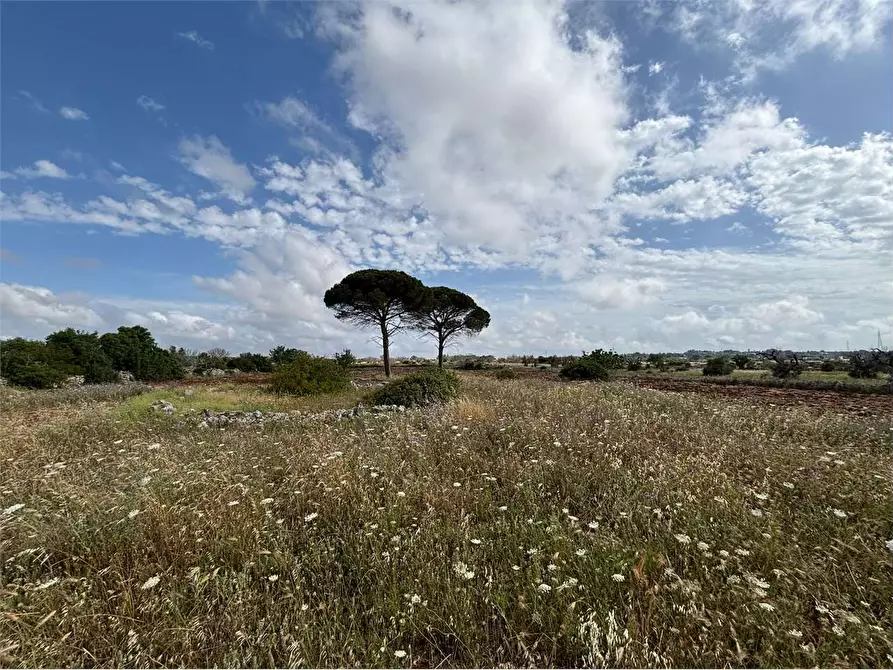 Immagine 16 di Rustico / casale in vendita  in via comunale ischera monticelli a Casarano