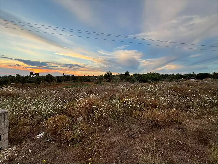 terreno agricolo in vendita ad Alliste