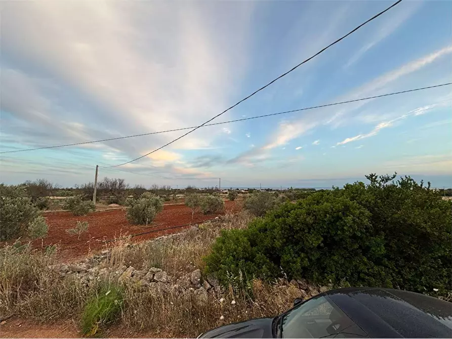 Immagine 2 di Terreno agricolo in vendita  in sp 266 a Alliste