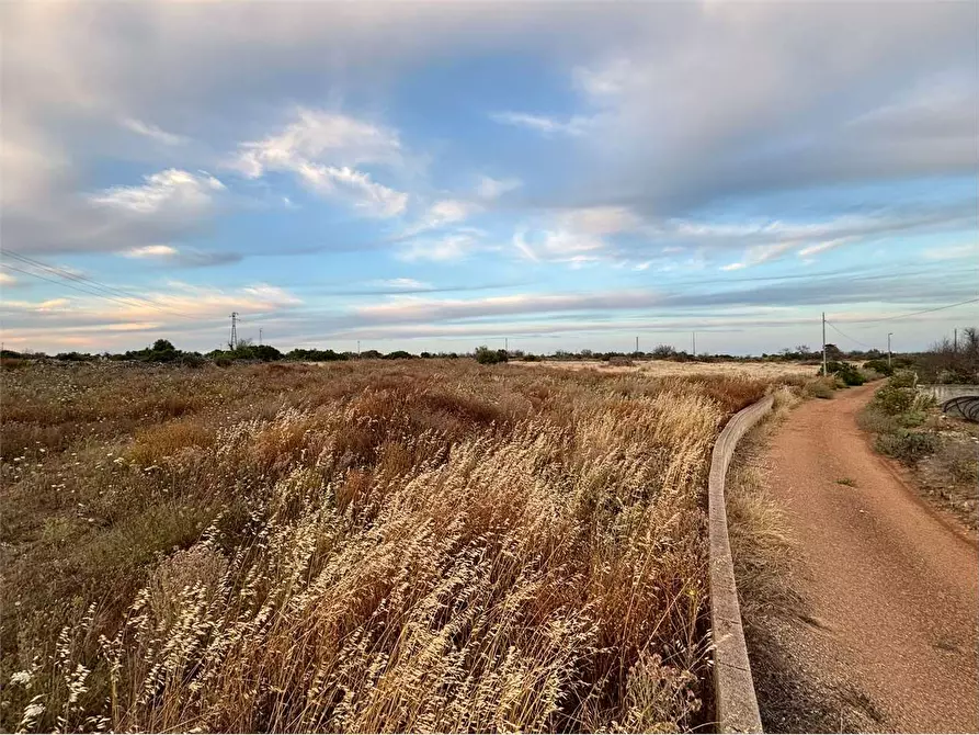 Immagine 4 di Terreno agricolo in vendita  in sp 266 a Alliste