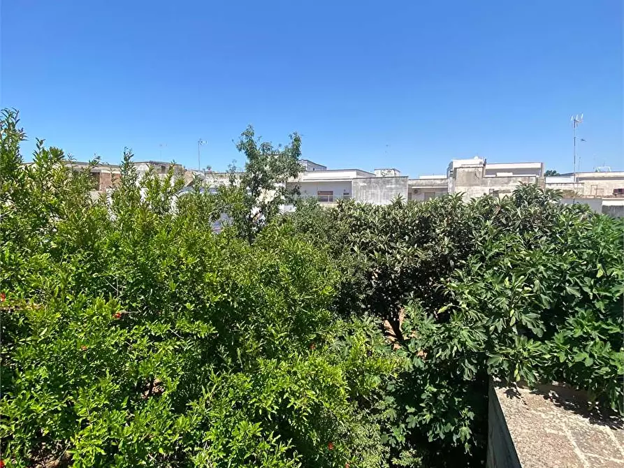 Immagine 17 di Stabile in vendita  in via Racale 30 a Melissano