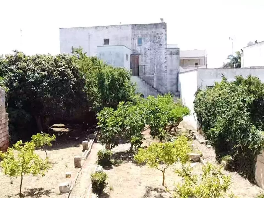 Immagine 4 di Stabile in vendita  in via Racale 30 a Melissano