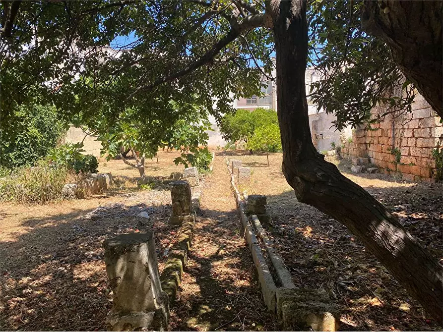 Immagine 33 di Stabile in vendita  in via Racale 30 a Melissano