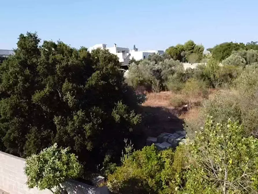Immagine 2 di Terreno edificabile in vendita  in via alto adige a Casarano