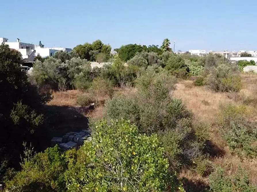Immagine 3 di Terreno edificabile in vendita  in via alto adige a Casarano