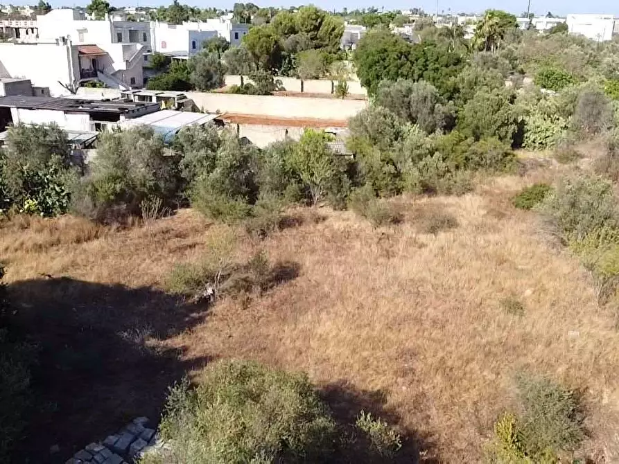 Immagine 6 di Terreno edificabile in vendita  in via alto adige a Casarano