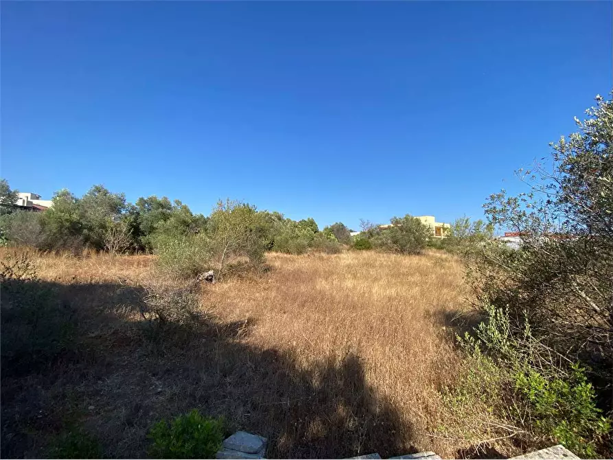 Immagine 16 di Terreno edificabile in vendita  in via alto adige a Casarano