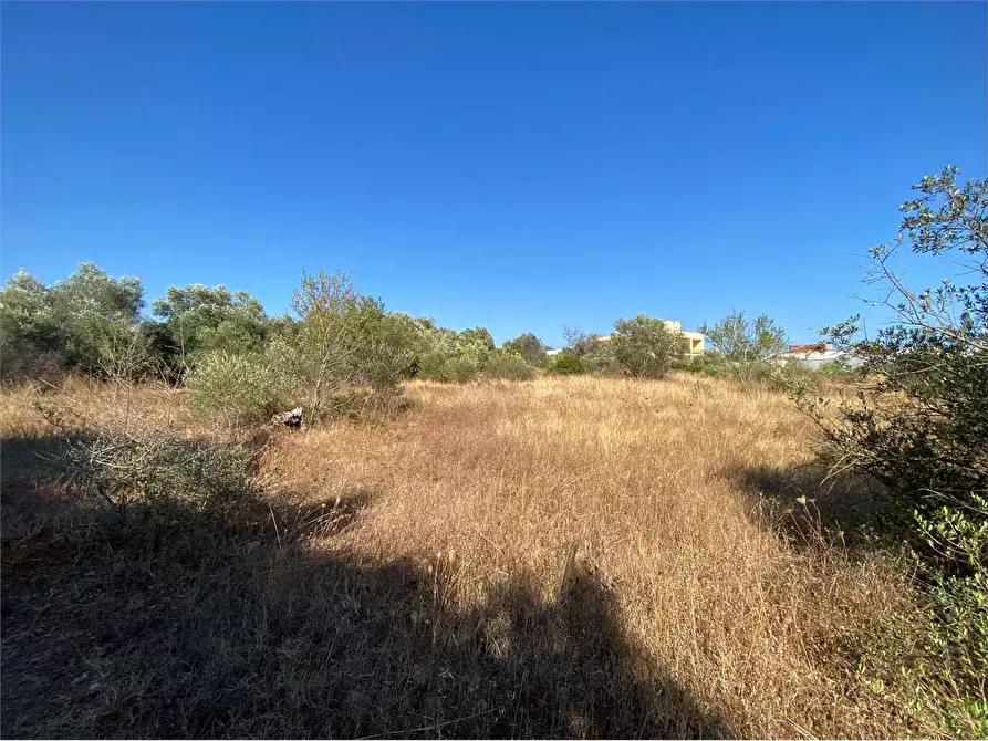 Immagine 17 di Terreno edificabile in vendita  in via alto adige a Casarano