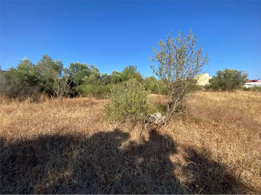 Immagine 18 di Terreno edificabile in vendita  in via alto adige a Casarano