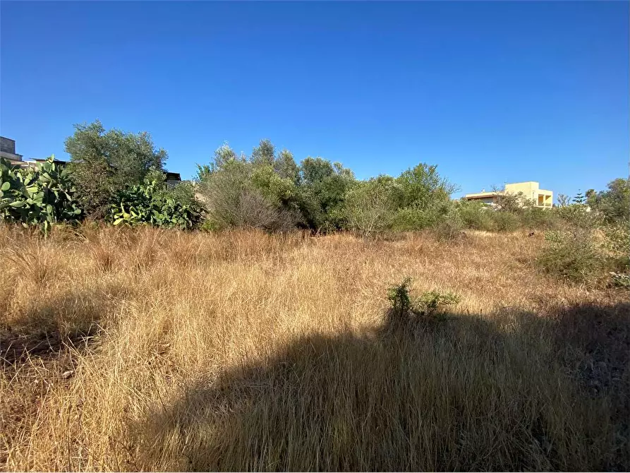 Immagine 19 di Terreno edificabile in vendita  in via alto adige a Casarano