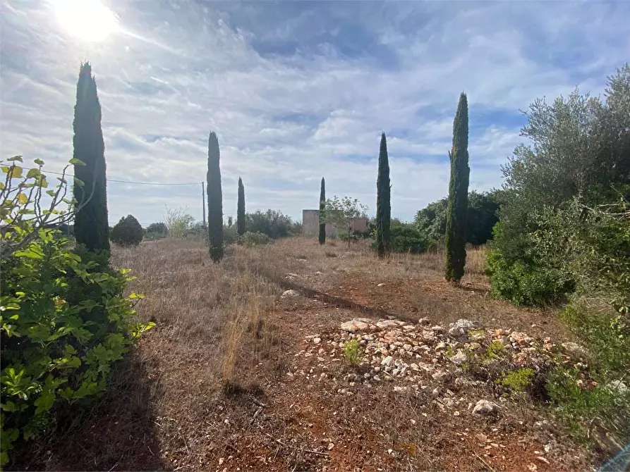 Immagine 13 di Rustico / casale in vendita  in contrada Manfio a Casarano