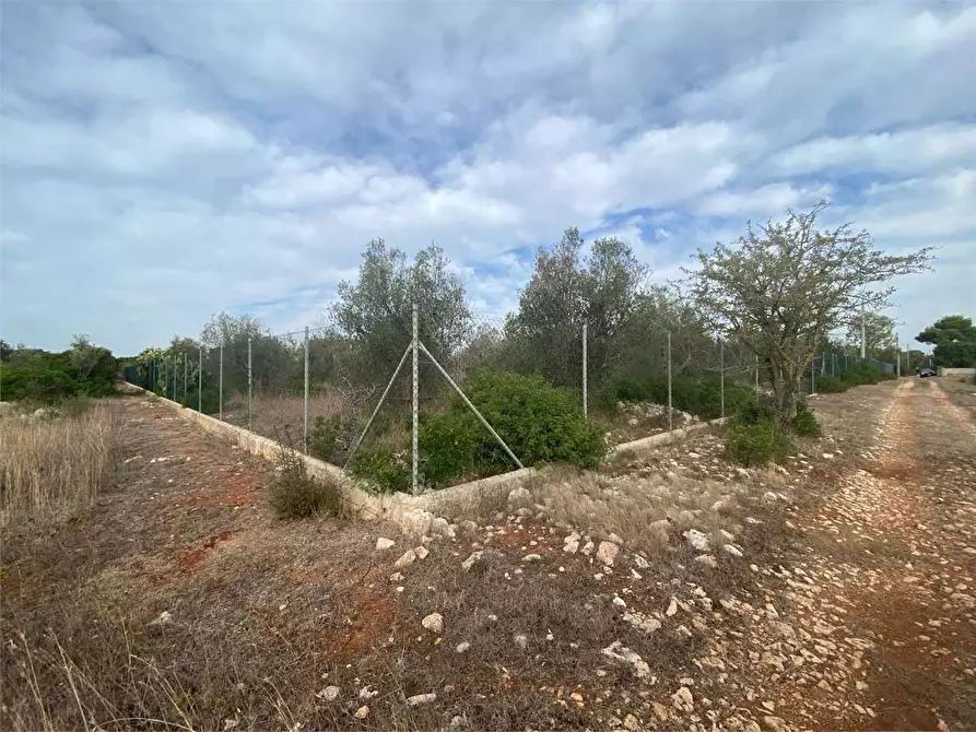 Immagine 11 di Rustico / casale in vendita  in contrada Manfio a Casarano