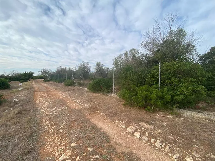 Immagine 12 di Rustico / casale in vendita  in contrada Manfio a Casarano