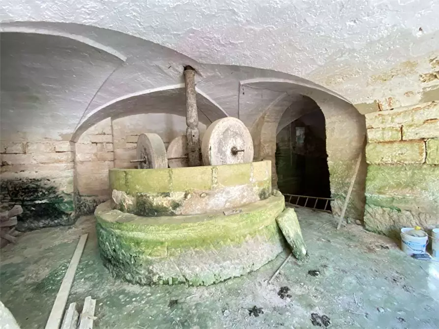 Immagine 13 di Stabile in vendita  in via convento a Diso