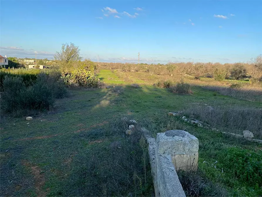 Immagine 1 di Terreno agricolo in vendita  in contrada campana a Casarano