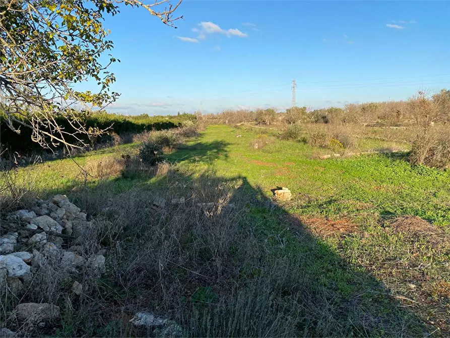 Immagine 2 di Terreno agricolo in vendita  in contrada campana a Casarano