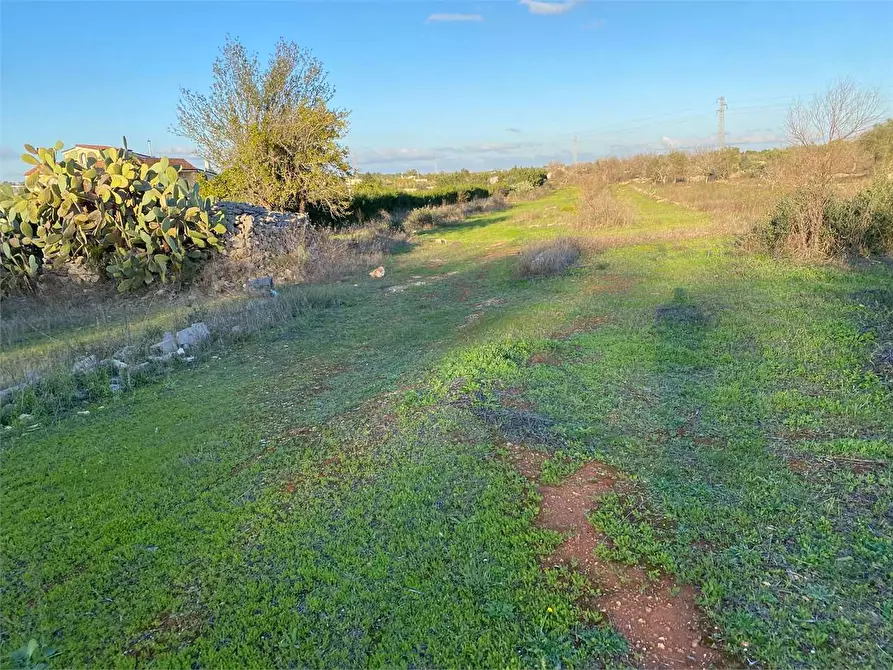 Immagine 3 di Terreno agricolo in vendita  in contrada campana a Casarano