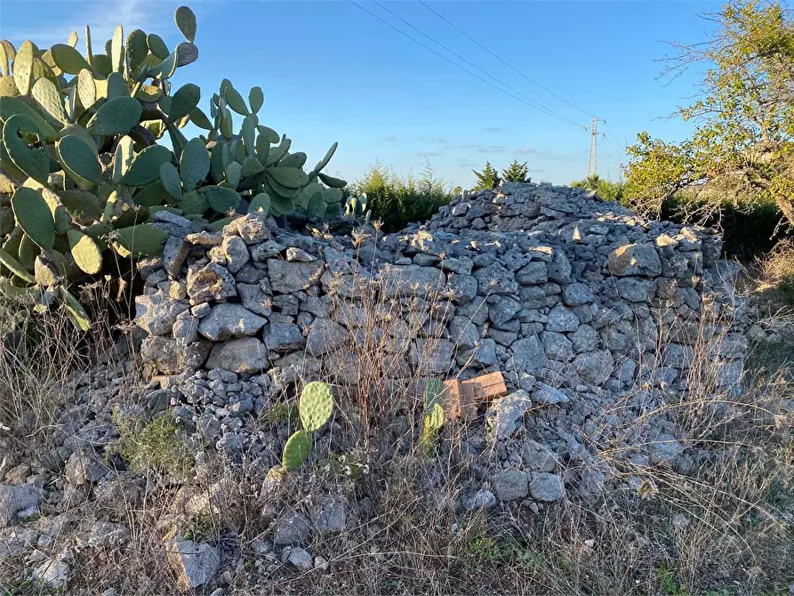 Immagine 4 di Terreno agricolo in vendita  in contrada campana a Casarano
