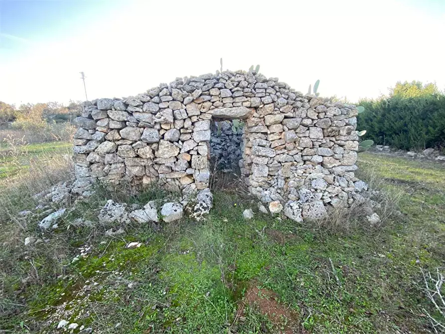 Immagine 5 di Terreno agricolo in vendita  in contrada campana a Casarano