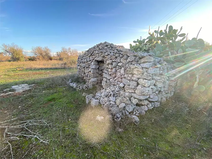Immagine 6 di Terreno agricolo in vendita  in contrada campana a Casarano