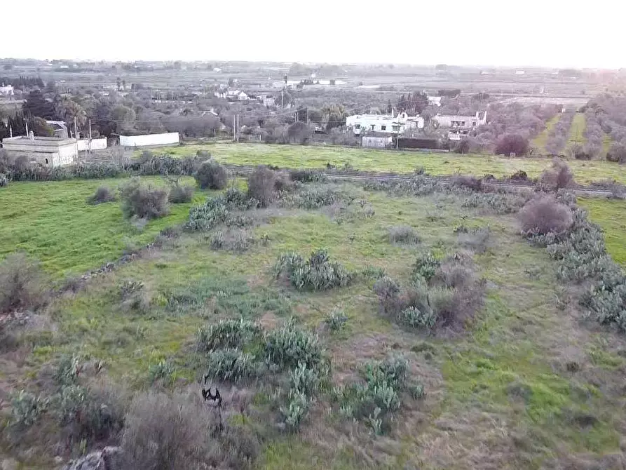 Immagine 10 di Terreno edificabile in vendita  in via specchia  di vaje a Casarano