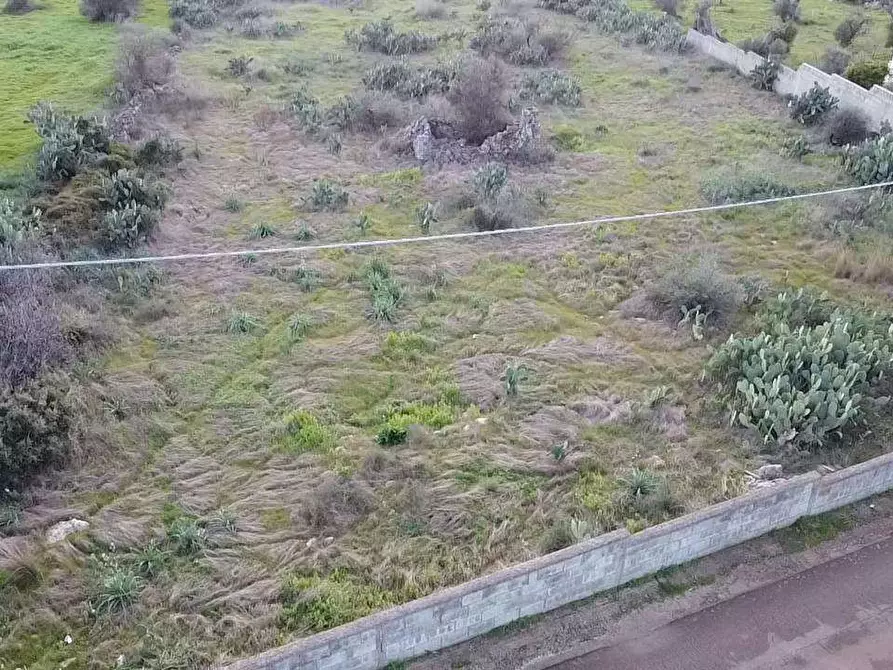 Immagine 12 di Terreno edificabile in vendita  in via specchia  di vaje a Casarano