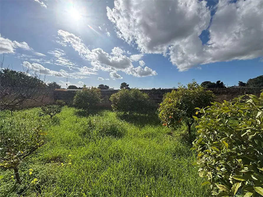 Immagine 7 di Casa indipendente in vendita  in Via messina a Casarano