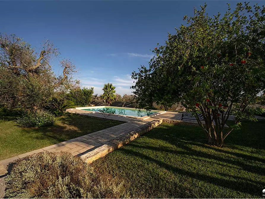 Immagine 12 di Villa in affitto  in manfio a Casarano