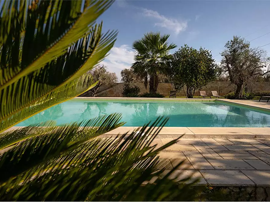 Immagine 13 di Villa in affitto  in manfio a Casarano