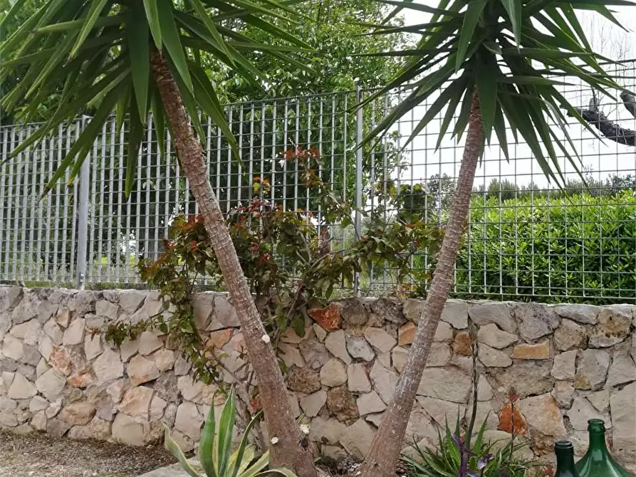 Immagine 19 di Villa in vendita  in Contrada pezzo grande a Casarano