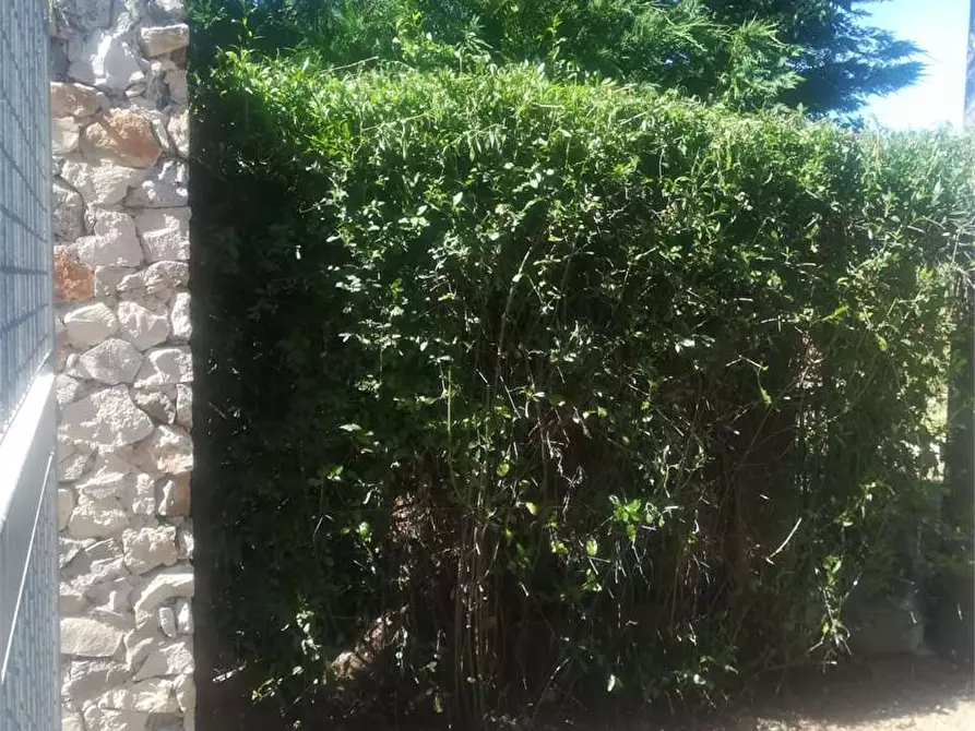 Immagine 13 di Villa in vendita  in Contrada pezzo grande a Casarano