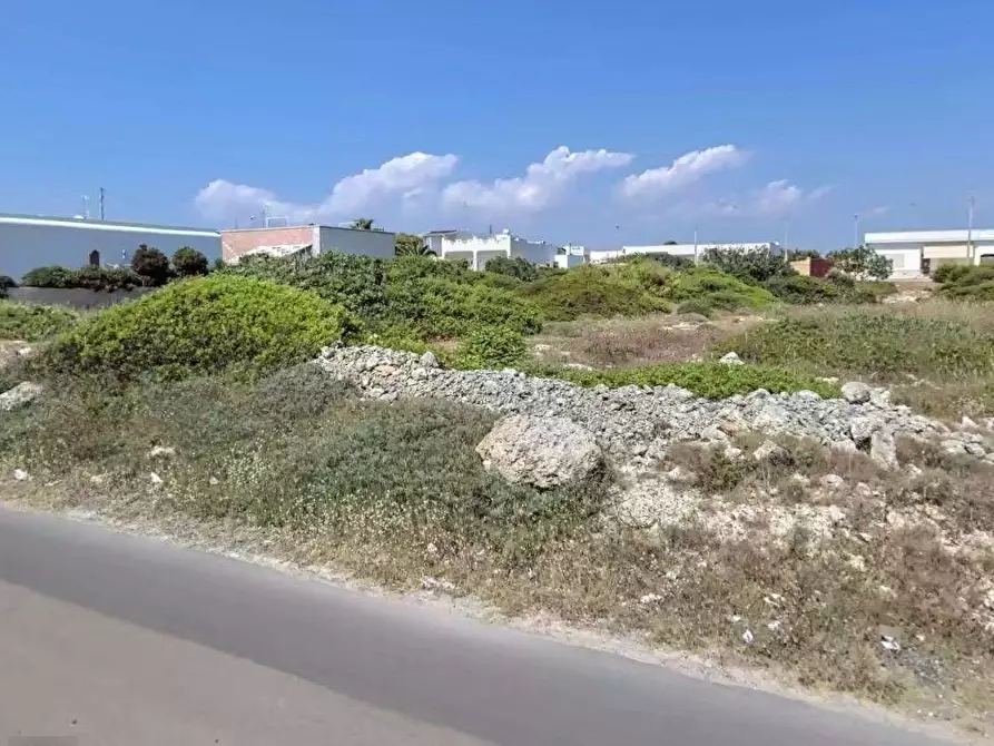 Immagine 16 di Terreno edificabile in vendita  in litoranea capilungo a Alliste
