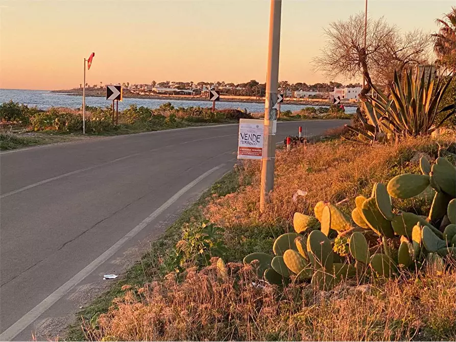 Immagine 9 di Terreno edificabile in vendita  in litoranea capilungo a Alliste