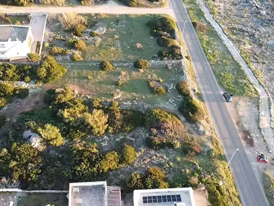Immagine 17 di Terreno edificabile in vendita  in litoranea capilungo a Alliste