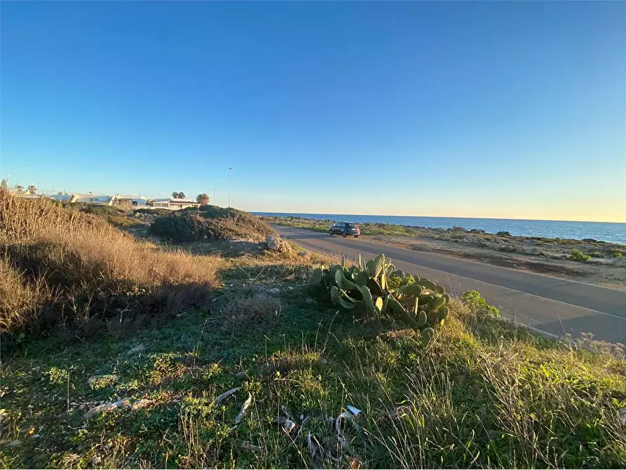 Immagine 5 di Terreno edificabile in vendita  in litoranea capilungo a Alliste