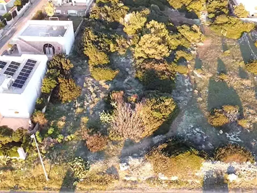Immagine 4 di Terreno edificabile in vendita  in litoranea capilungo a Alliste