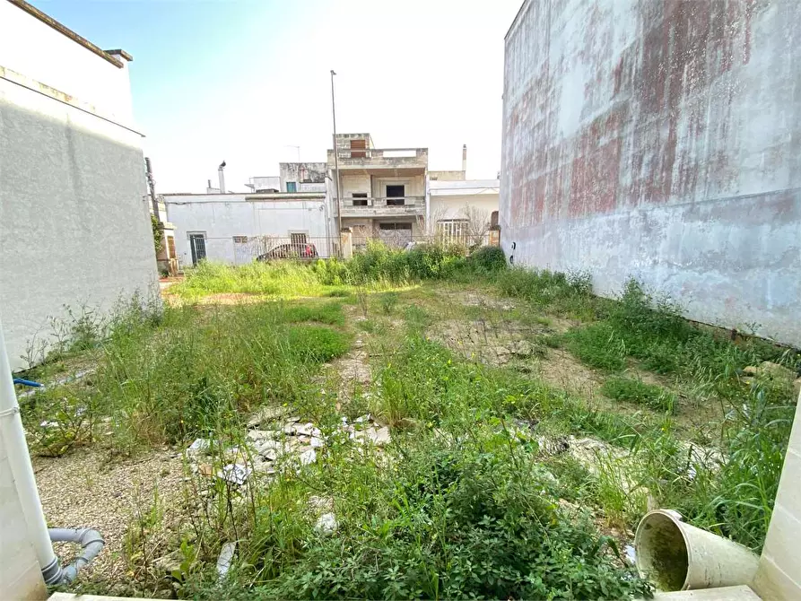 Immagine 4 di Villa in vendita  in torre paduli a Ruffano