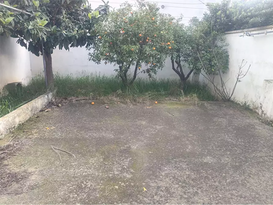 Immagine 4 di Appartamento in vendita  in via volta a Casarano