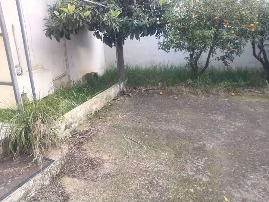 Immagine 5 di Appartamento in vendita  in via volta a Casarano