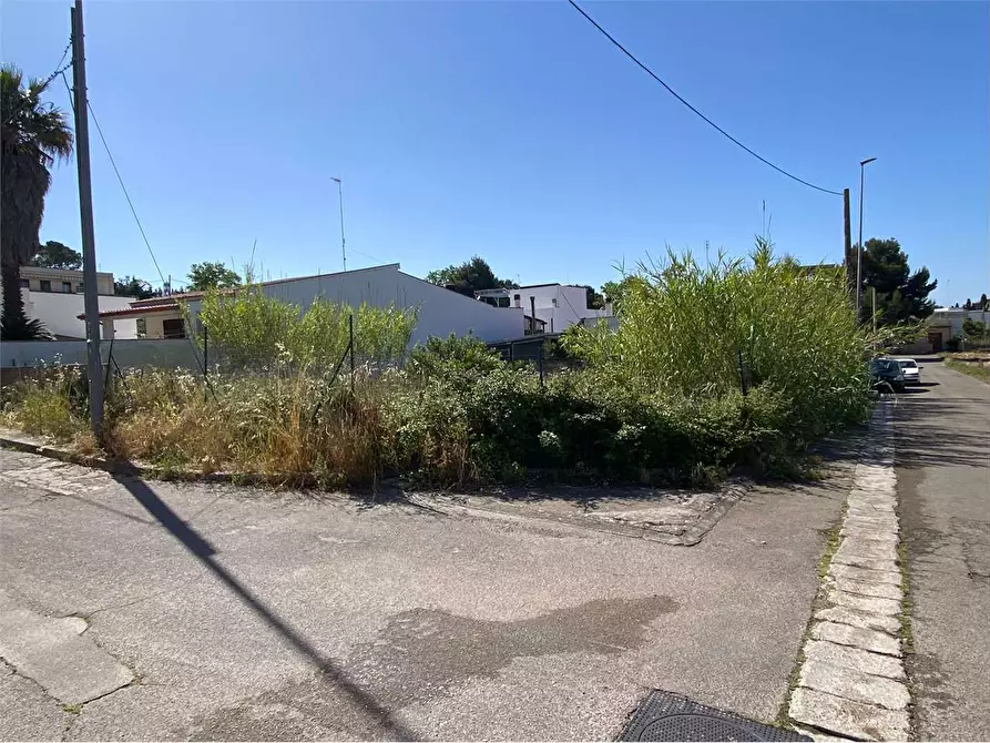 Immagine 3 di Terreno edificabile in vendita  in via basento a Casarano