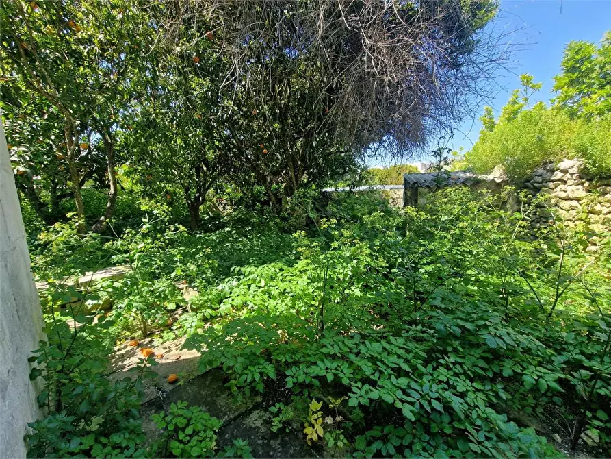 Immagine 16 di Casa indipendente in vendita  in via Roma 20 a Bagnolo Del Salento