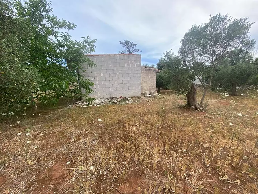Immagine 19 di Rustico / casale in vendita  in CONTRADA TISI a Casarano