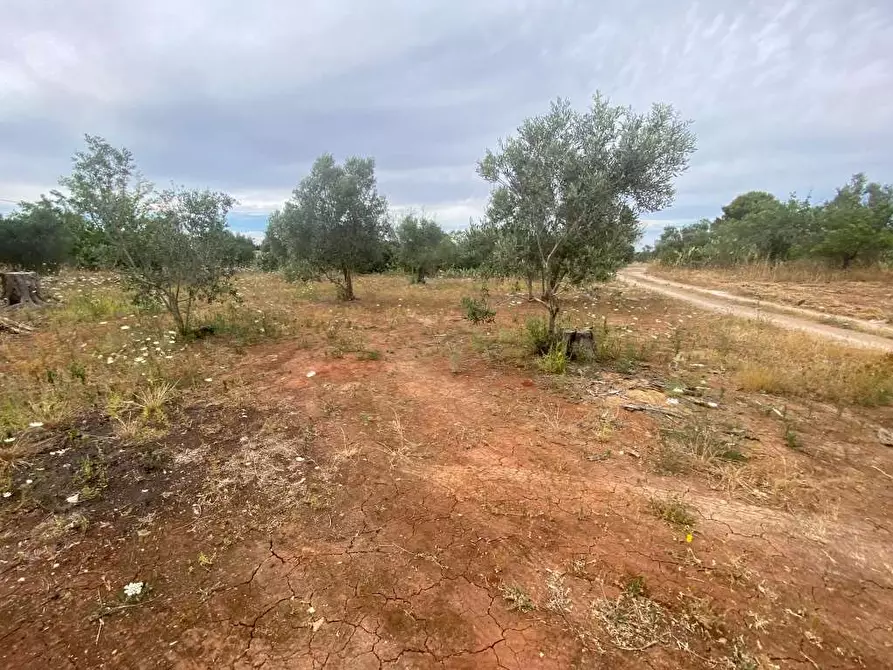 Immagine 20 di Rustico / casale in vendita  in CONTRADA TISI a Casarano