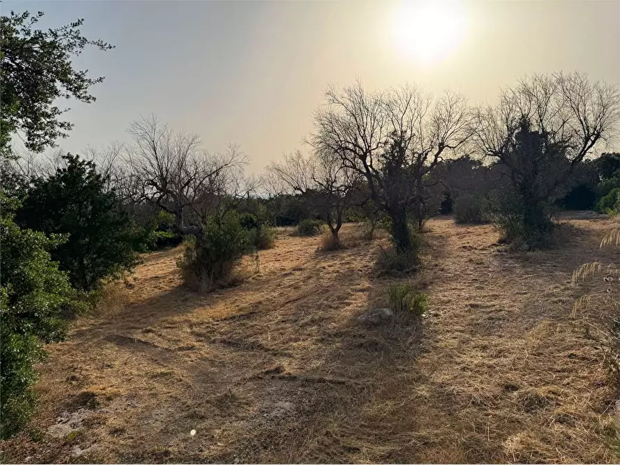 Immagine 2 di Rustico / casale in vendita  a Casarano